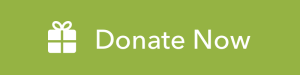 Donate+Now+Button@2x
